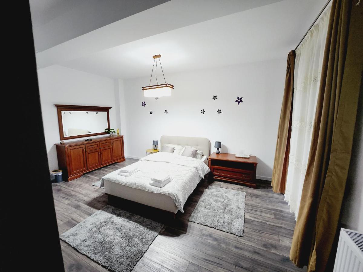 Dumbravita  Armina'S Residence المظهر الخارجي الصورة